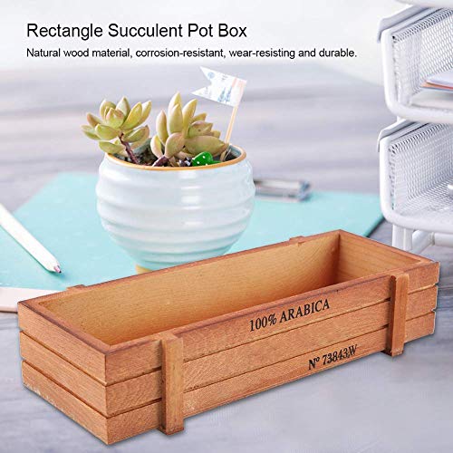 Beufee 2PCS Mini Planter - Image 3