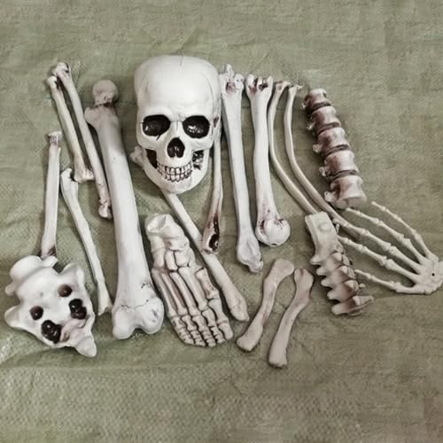 Accesorios de esqueleto para Halloween: transforma tu casa embrujada con realismo terrorífico 4