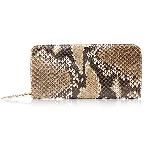 �p�C�\�� Python �����z ��e�� ���f�B�[�X �����Y �{�v(�i�`������)