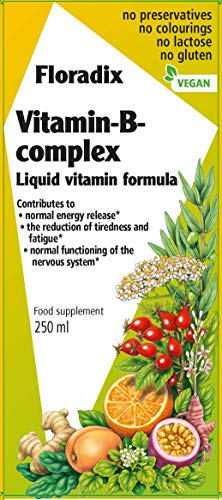Preisvergleich Produktbild Floradix Vitamin B Complex 250ml