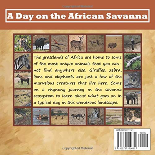 A Day on the African Savanna - Image 2