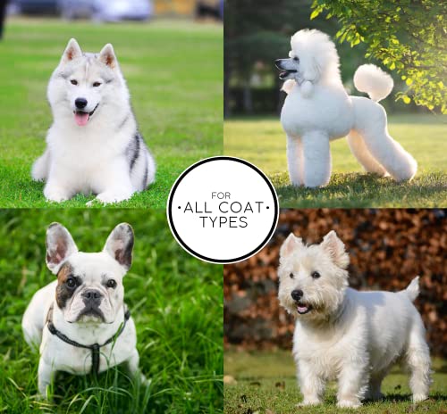 Chris Christensen White on White Whitening Treatment Dog Shampoo, Groom Like a Professional, Brightens White, Safely Removes Yellow & Other Stains, All Coat Types, Made in USA, 16 oz. Chris Christensen White on White Whitening Treatment Dog Shampoo, Groom Like a Professional, Brightens White, Safely Removes Yellow & Other Stains, All Coat Types, Made in USA, 16 oz.