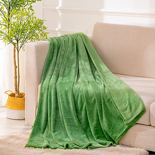 Recyco Fleece Throw Blanket For Couch, Super Soft Couch Throw Blanket For All Season, Lightweight Fuzzy Cozy Warm Green Throw Blanket For Couch Bed, Plush Blanket Throw For Sofa, Chair 50"X60" #TOP1