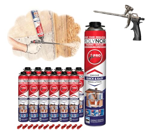 POLYNOR Isolamento termico PUR in bomboletta PRO - Set - 12 schiume - Pistola per schiuma - Isolamento termico a spruzzo - Isolamento di pareti, tetti, soffitti, tubi - Aerosol 750 ml