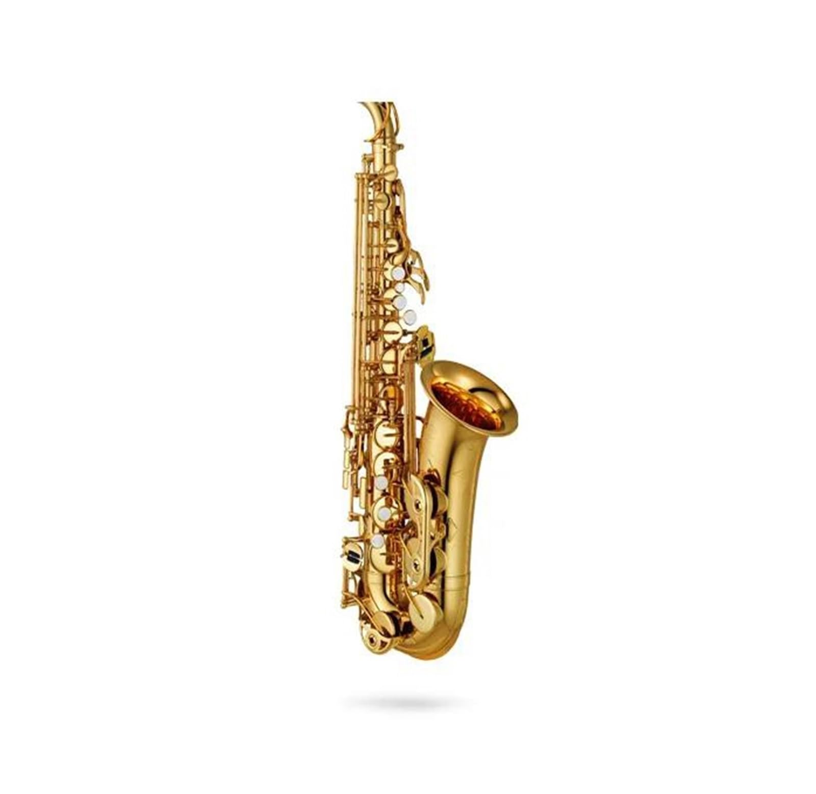 BABYCE Principianti Sassofono Strumento Musicale per Sax Contralto Professionale per Sassofono Contralto in Ottone Placcato Oro