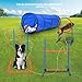 Imagen de Tanniws Agility Perros Equipos de Agilidad para Perros Anilla para Saltar