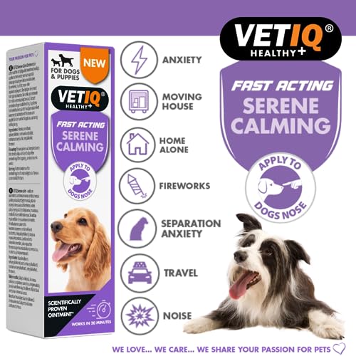 VETIQ Serene Calming Ointment For Dogs & Puppies, Fast Acting Natural Anxiety Relief, Simple Application to Dogs Nose - Image 2