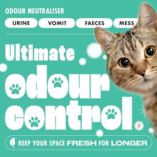 Dirtbusters ‘Clean & Protect’ – 4 in 1 Reinigungskonzentrat für Teppiche & Polster – neutralisiert & schützt vor unangenehmen Gerüchen – für Teppichreinigungsmaschinen geeignet – 5 l – Zitrusduft - 8