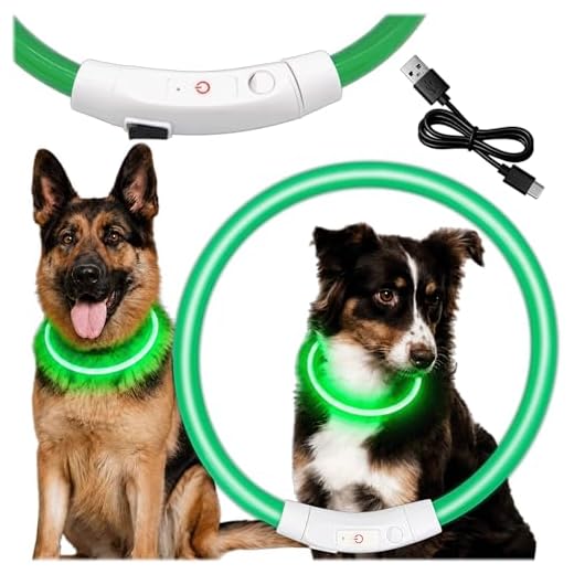 KRUMAD LED Hundehalsband für Nachtsicht