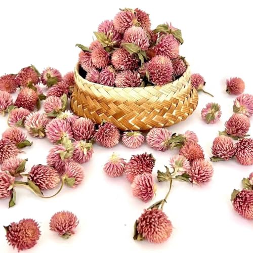 2.5oz Dried Flowers Gomphrena globosa Flower, Natural Globe Amaranth Flower Wholesale Best for Flower DIY, Sachets, Wedding Party Decoration, Potpourri, All Kinds of Crafts(Pink)