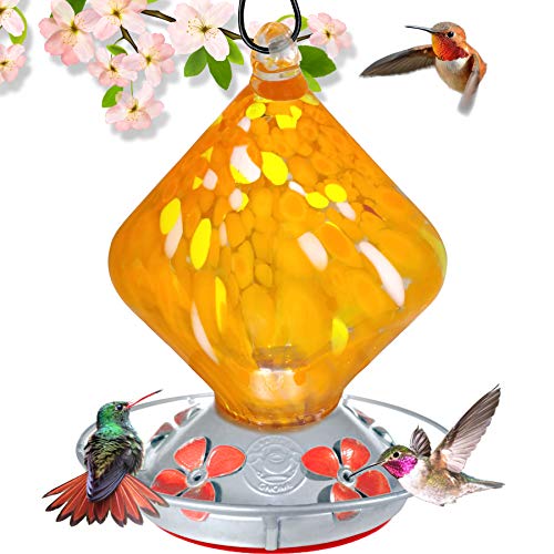 Grateful Gnome - Hummingbird Feeder - Hand Blown Glass - Orange Sugar Cube - 18 Fluid Ounces - Additional Accessories Include S-Hook, Ant Moat, Brush and Hemp Rope Included