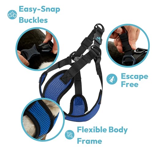 Goobycomfortxstepinlitedogharnesschokefreeescapefreewithlightbreathablemeshstepindogharnessforsmallandmediumdogsquickreleasebucklemetaldringspinkmedium  Urban Country Home Decor Gooby comfort x step in lite dog harness choke free escape free with light breathable mesh step in dog harness for small and medium dogs quick release buckle metal d rings pink medium  urban country home decor