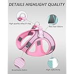 Solmoony Dog Harness for Small Medium Dogs No Pull, Puppy Harness and Leash Set, Puppy Harness for Small Dogs, Step in Harness for Small Dogs, Small Dog Harness, mesh Dog Harness. (Bule, M) - Image 5