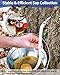 CIMALAB Maple Syrup Tapping Kit, 6 Set Maple Tree Tapping Kit, 6 Stainless Steel Maple Syrup Taps, 6 Maple Syrup Tube & 2 Maple Sap Filters, Metal Maple Syrup Spiles for Maple Syrup Making Supplies