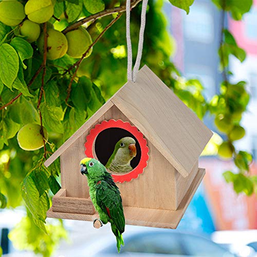 kathson Bird House, Natural Cedar Bird Hut, Crafts for Kids, Outdoors Hanging Garden