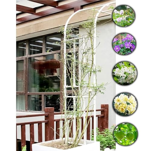 Metalowa pergola ogrodowa, łuk, stojak, odporna na warunki atmosferyczne, kratka do roślin pnących, 18 m do 3 m, rozmiary stabilne, zewnętrzne łuki kwiatowe, kolor czarny, trwała altana do dekoracji