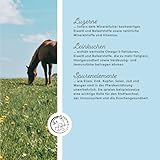 Mineralfutter Pferde organisch getreidefrei 3 kg - getreidefreies Ergänzungs Pferdefutter mit Vitaminen, Mineralstoffen und Spurenelementen, wie Zink, Selen, Omega 3 und Jod (3 kg Eimer)