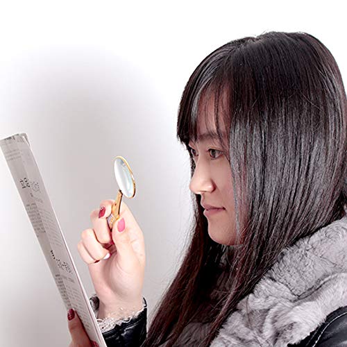 Lettura Magnifier Portable Identification Coin
