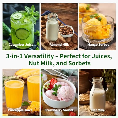 Commercial Juice Extractor Cold Press