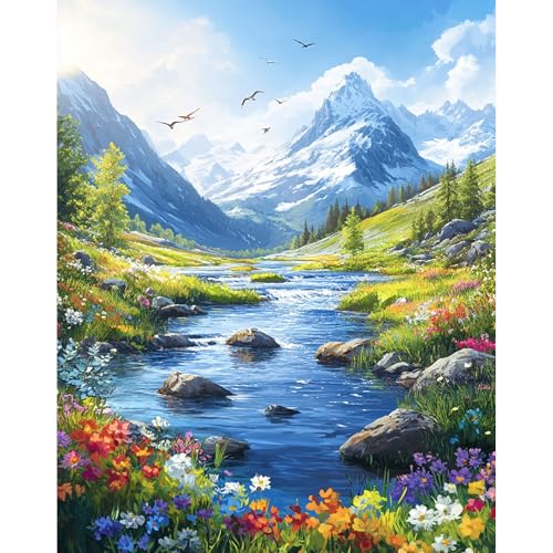 DAERLE Pintura Acrilica por Números para Adultos y Principiantes, Hermosa vista de la naturaleza, Acuarela Painting by Number Kit con 3 Pinceles, decoración para el hogar 30x40cm Sin Marco, Paisaje