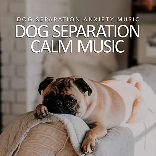 Amazon.com: Dog Separation Calm Music : Dog Separation Anxiety Music