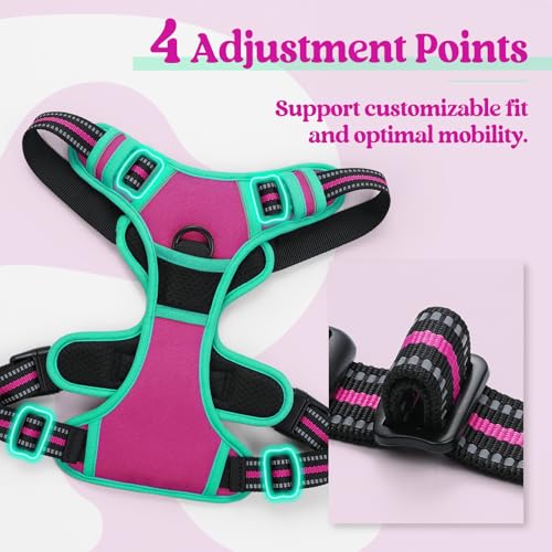 Image of rabbitgoo Dog Harness No Pull with 2 Leash Clips, Adjustable Soft Padded, Reflective Oxford No Choke Pet Vest with Easy Control Handle for Large Dogs, Hot Pink & Turquoise, XL