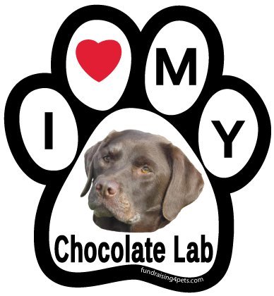 I Love My Chocolate Lab Paw Magnet