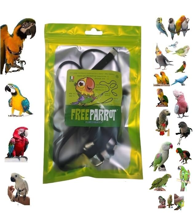 Pechera para loros medianos con enganche rápido para evitar escapes y tirones durante el paseo