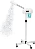 Professional Facial Steamer, Nano Ionic Hot Mist Spray, Timer Function, Face Steamer Machine, Vaporizador Face Steamer for Estheticians, SPA at Home (White)