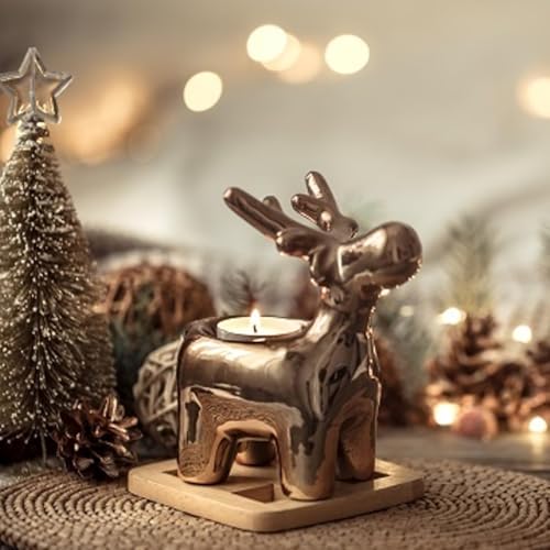 Weihnachts-Spezial: Die Wintersonnenwende und die Raun&auml;chte