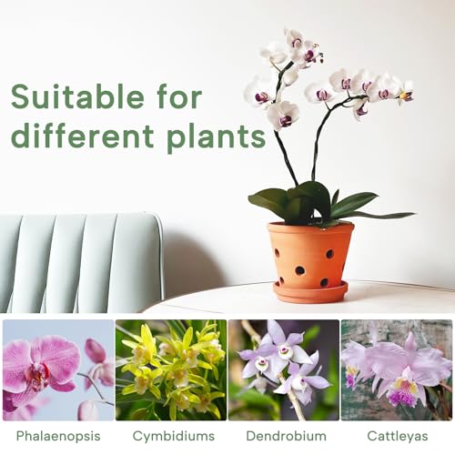 Terrakotta-Orchideentöpfe mit Löchern und Untersetzern, 15,2 cm, 3 Stück, kleine Ton-Orchideen-Übertöpfe zum Umtopfen… – Ansicht 5