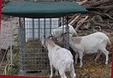 Maße des Dachs: ca. 2 Meter x 2,2 Meter // inklusive Gratis Dachplane in Top Qualität, Stärke ca. 210 g / m² -- Plane hat Ösen zur einfachen Befestigung, z. B mit Kabelbindern // geneigter & stufenlos höhenverstellbarer Stahl-Dachrahmen (mittels Rändelschrauben) / Dachüberstand an jeder Seite ca. 30 cm -- das Futter wird weniger schnell nass als bei herkömmlichen Raufen!