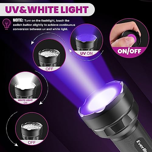 Everbrite Led Flashlight, Multifunctional Flashlight With Uv And White Light, 395Nm Black Light, 300 Lumens High Powered Flashlight For Camping, Emergencies, Pet Urine Stains, Aa Batteries Included #TOP1