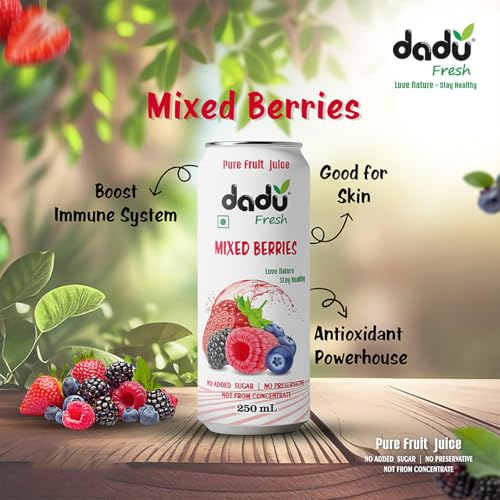 Image of Dadu Fresh Mixed Berries Juice | Pure Natural Juice | Not from Concentrate | No Added Sugar | No Preservatives or Artificial Flavors | Blend of Strawberries, Blueberries, Mulberries & Raspberries | 250ml (Pack of 4)