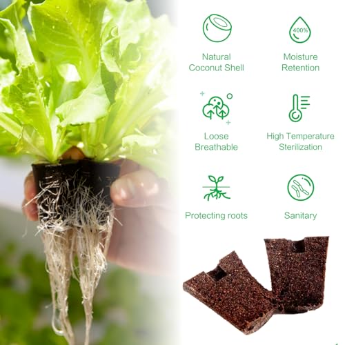 TEZKOLES 50 Pack Round hydroponic Growth Sponge, Suitable for Indoor and Outdoor hydroponic Gardens, Seed Germination, Plant Rooting, Vegetable Cultivation, Flower Arrangement - Image 3