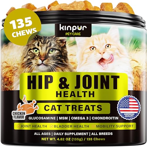 The Ultimate Guide To Cat Leg Joints Unveiling Common Injuries And