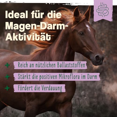 Ida Plus - Bierhefe Bt - 6kg - Futterergänzung für Pferde & Ponys - für glänzendes Fell & kräftige Haut - unterstützt Verdauung & Darmflora - reich an B-Vitaminen, Mineralien & Spurenelemente