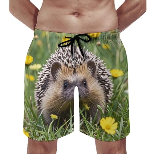 Men's Swim Trunks Quick Dry Board Shorts with Pockets Beach Shorts Hedgehog Bathing Suits for Men
