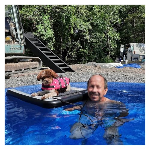 Aufblasbare Hundewasserrampe mit hohem Auftrieb und faltbarem Design für Poolzugang