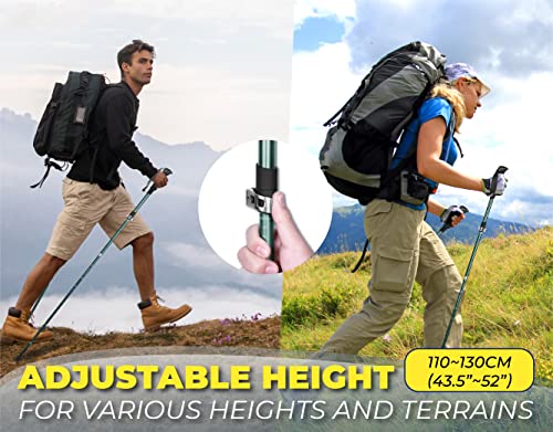 TREKOLOGY Hiking Poles, Trekking Poles TREKZ SE, 2pc Walking Stick, for Collapsible Lightweight Women Men Nordic Seniors Sticks Travel