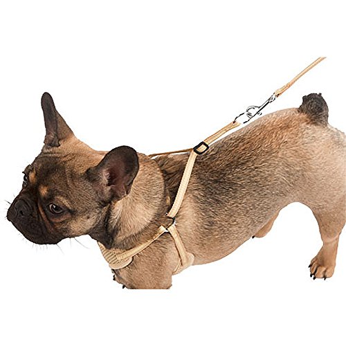 Kerbl Pet Welpengeschirr mit Leine, beige, 24-44 cm/10 mm