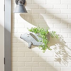 DII Galvanized Planter Collection Wall Hanging, Pig, 16.75x3.75x10.75, Iron DII Galvanized Planter Collection Wall Hanging Pig 1675x375x1075 Iron