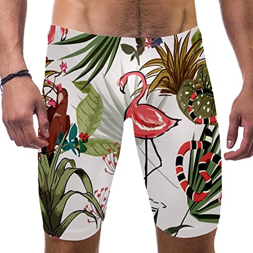 Jammers para hombre de natación con ajuste hidrodinámico y diseño de flamencos talla S a 3XL