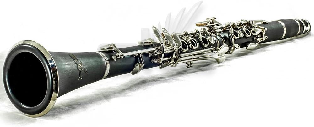 SKY Black Ebonite ABS Bb Clarinet with Case, Mouthpiece, 11 Reeds, Care kit and more