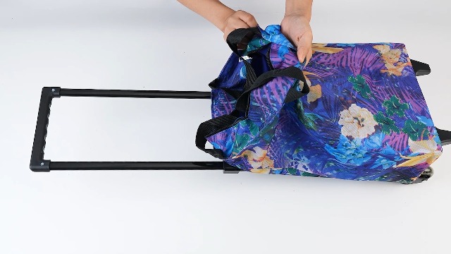 Carrello Spesa Pieghevole Con Ruote, Borsa Trasporto In Tessuto Oxford 600D, Asta Telescopica - Per Spesa, Viaggi, Campeggio E Casa