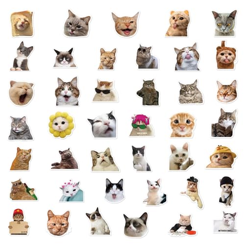 MORAINJAY 100pcs Cute Funny Cat Stickers for Kids,Cartoon Theme Water Bottle Stickers for Teens Boys Girls,Aesthetic Cat Anime Vinyl Stickers Party Favors for Kids Party Bags Filler,Laptop,Skateboard - Image 3