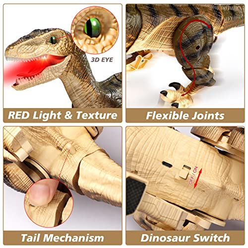 Hot Bee Remote Control Dinosaur Toys For Boys 4-7 8-12, Walking Robot Dinosaur Toy W/Light & Roaring Simulation Velociraptor, Dinosaur Gifts For Boys Age 4 5 6 7 8-12 #TOP3