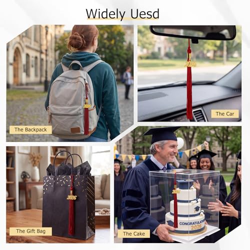 Image of GraduationMall Single&Multiple Color Graduation Tassel with 2026 Year Charm 9 inch
