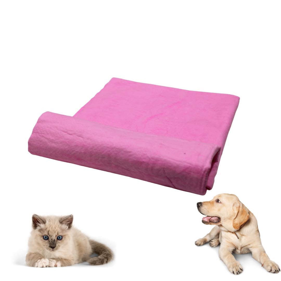 Dog Trust Ultra Absorbent Dog Bath Towel - Quick Dry Eco Friendly Dog Bath Towel Ultra-Soft for All Breeds Dogs & Cat (B09PHDZF93) Amazon Price History, Amazon Price Tracker
