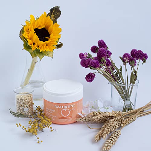 Motorola Écouteurs avec Fil 105 Intra Auriculaires Inclus 6 Embouts en Silicone Microphone - vue 6